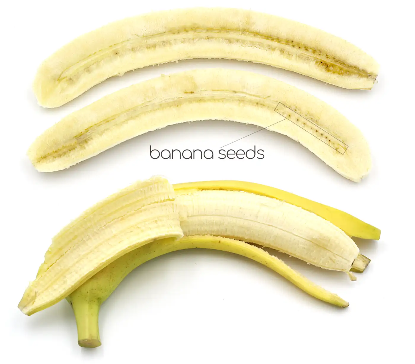 banana seed